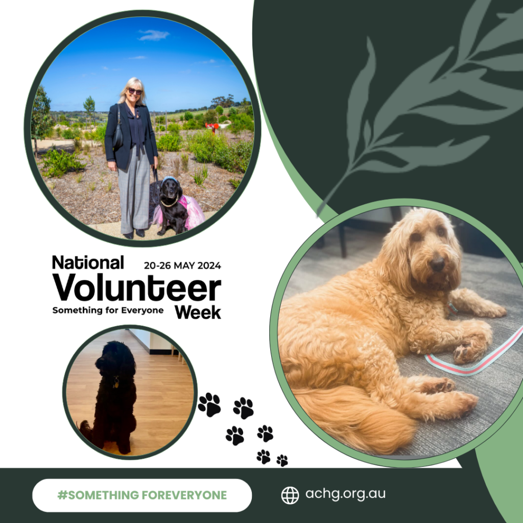 Therapy dogs and their handlers volunteers at Anam Cara House Geelong